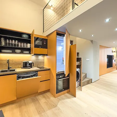 New Modern Art Loft Apartment, Center דירה פראג